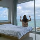 테스226(TESS226)