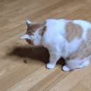 예린농장 | 26.2月