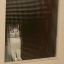 네모네모