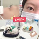 오비르뷰티 | 건대 속눈썹펌 오비르뷰티 자연스러운 C컬펌 맛집