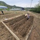 도연농장 이미지