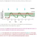 항파킨슨 약물 간단정리 이미지