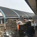 몽멍이들 이미지