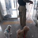 아카데미유치원 이미지