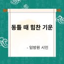 동틀때 이미지