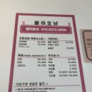 구영 고양이 무마취 미용 | [장유 고양이 무마취 미용 후기] 봄이오냥 내돈내산 솔직 리뷰 🐱