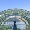 활옥동굴 호수펜션 이미지