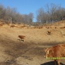 명성농장 이미지