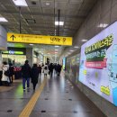 그린컴퓨터아카데미 수원