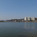 영천 신월리 삼층석탑 이미지