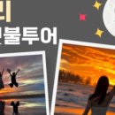 반딧불 프리미엄 이미지