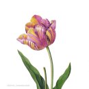 꽃과 식물그림 보타니컬 아트 이미지