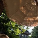 팔공산식당 | 팔공산] 5월부터 출석도장 찍고 온 계곡 식당 ‘개울가식당’/아이와가기좋은곳/경북계곡식당추천/26년후기