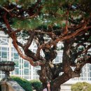 스타일펫츠 이미지