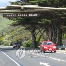 (주)젤리버스 이미지