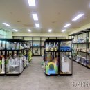 횡성군립도서관 이미지