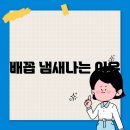 배꼽 이미지