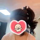 이경심 | 250914 | ⛅️KBS2명작 드라마 '힐러' 다시보기 - 유튜브에서 월 4천원으로 즐겨요