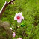 사곡2리 이미지