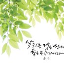 우매목장 네이버블로그