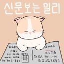 MBTI 빙고 모음 이미지