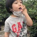 해피팜농장 이미지