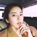 신명1983 이미지