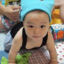 쭈니와비니 이미지