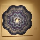 이프라자 이미지