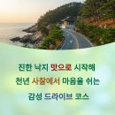 하루낙지 티스토리