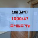 영신이용원