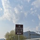 황산공원 배구장 | 양산 황산공원 숨은 벚꽃명소 방문후기