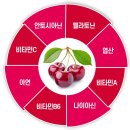 하이체리 이미지