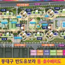 동대구 네이버블로그