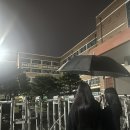 풍암고매점 - 29714 | 풍암고매점