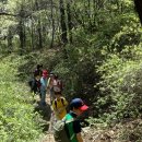 송화초등학교 이미지