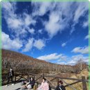 해마음 | 인천 계양구 신점 후기를 통해 본 신년운세의 현명한 지침과 방향