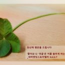 불광역7번출구 엉터리집 네이버블로그