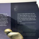 [전남 신안 가볼만한 곳] 자은도 1004뮤지엄파크 1004수석미술관 뮤지엄비치캠프 세계조개박물관 투어