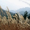 지암민박 이미지