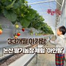 아인농장 | 논산 딸기농장 체험 아인팜 33개월 아기랑 나들이