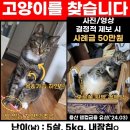 대디동물병원 이미지