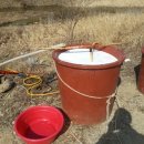 소룡농장 이미지