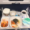 913 | 인천-스페인 대한항공 직항 KE913편 탑승후기 (기내식,좌석,제공물품)