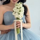 come on 헤어 | W13-3. 웨딩 촬영 소품 정보(내돈내산)