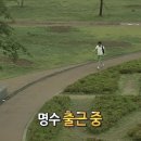 재뉴어리 이미지