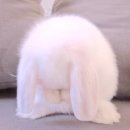 J하우스 이미지