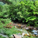 ⛰️ 7월28일 월요일 정기🔮제283차 경남 산청 지리산 대원사계곡트레킹및 여름맞이물놀이 🤗💘(민족의명산 계곡길 ) 👏 🏹 이미지