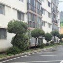 [동구샘터]살만 한 인생 | [대구 감성 숙소] 동대구역 근접, 장기단기 가능한_안나의다락방
