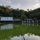 숲속낚시터 이미지